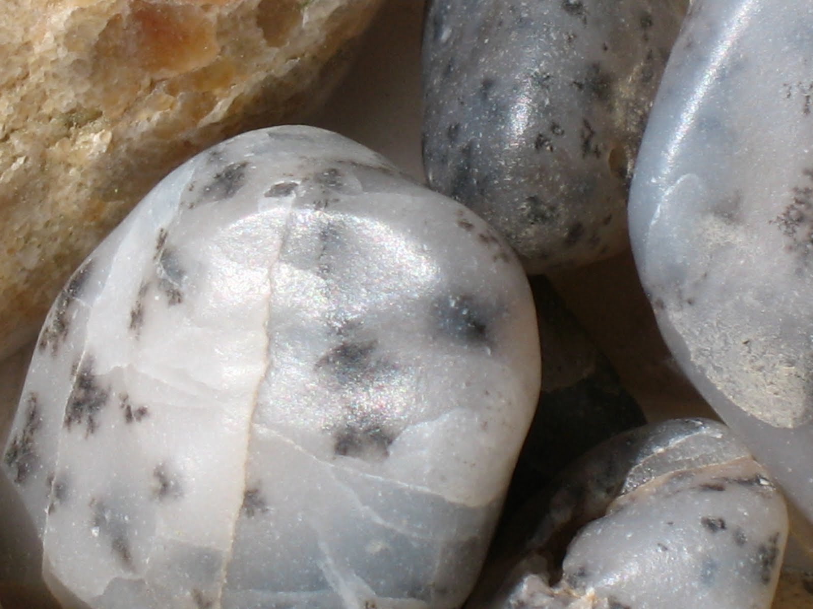 Doing It On The Road(Part II) Sweetwater Moss Agates at Agate Flats