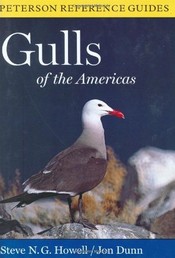 Gulls of the Americas