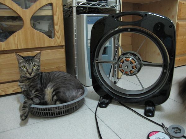 [090608-2975.jpg]