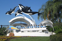Sea World -2009