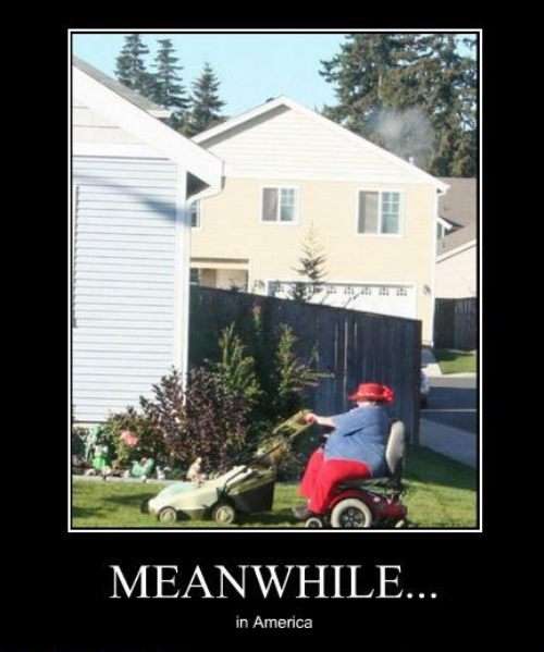 Gentle Art of Meme: Meanwhile in America...