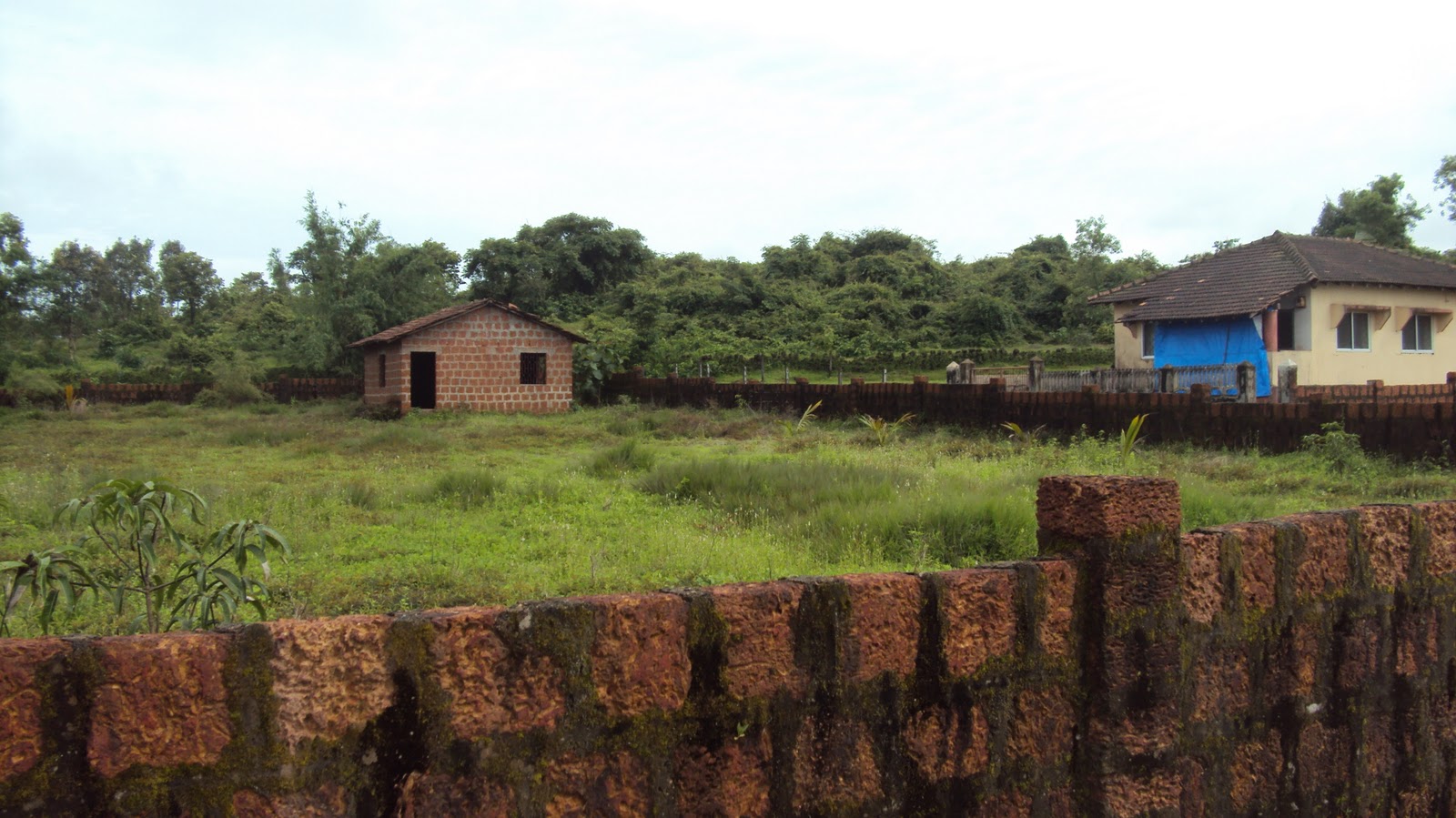 Plots and houses in Goa available Plot for Sale in Corjuem Aldona