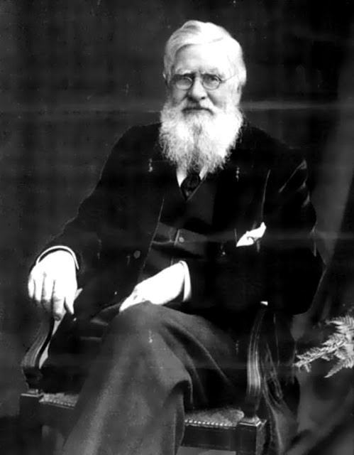 alfred russel wallace family alfred russel wallace family