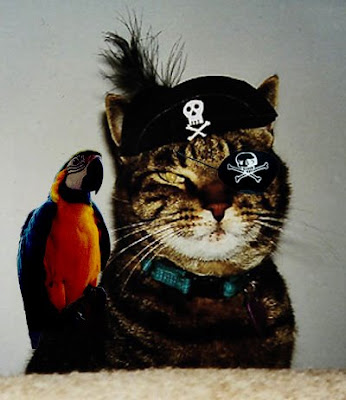 http://3.bp.blogspot.com/_9GHoR-RJLy8/SNOvu2j6trI/AAAAAAAAGhs/A9FhAG53wtg/s400/pirate+cat6.jpg
