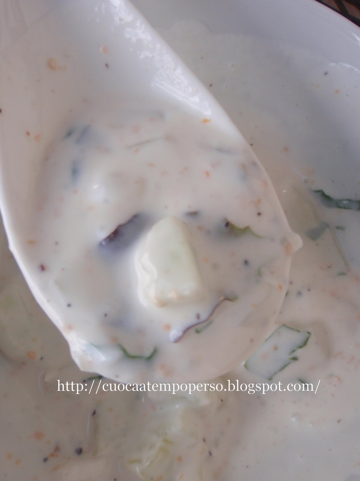 salsa bianca di yogurt alessandra ruggeri