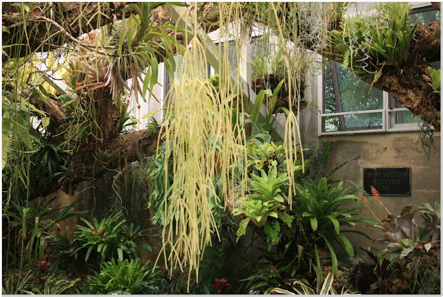 Southeast Florida Garden Evolvement: Fairchild Tropical Botanic Garden ...