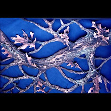 Oak Leaves