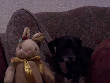 Inky & the Easter Bunny