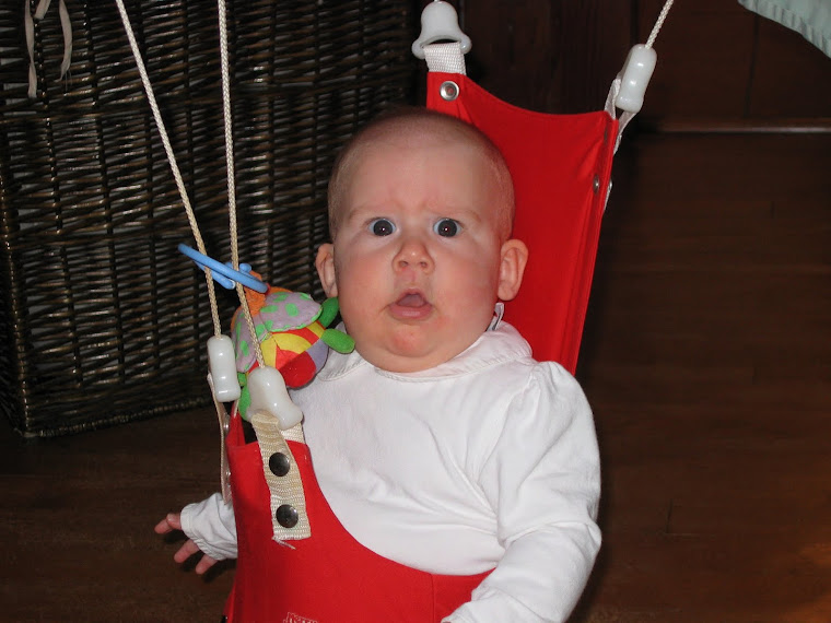 The (not so) Jolly Jumper