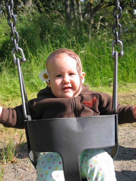 Delicate Little flower on a swing...!