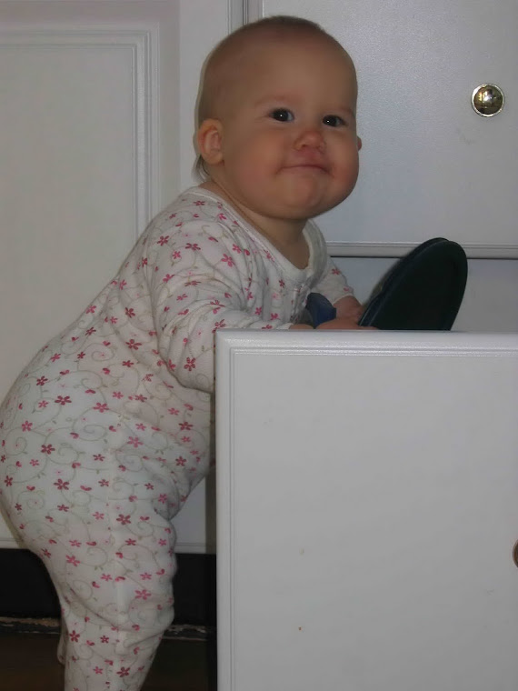 Drawer Invasions