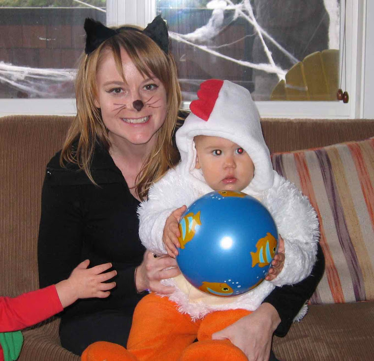 Aunty Kitty plays with the chick