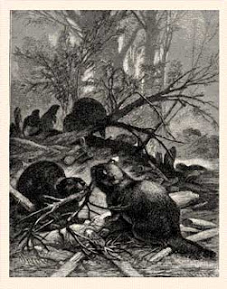 1880's wood engraving by Specht and Kellenbach