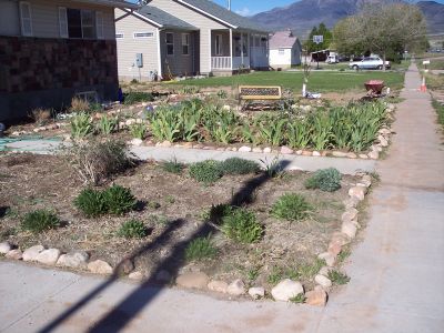 [front+yard.jpg]