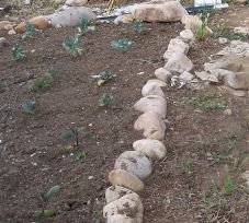 [rock+beds.jpg]