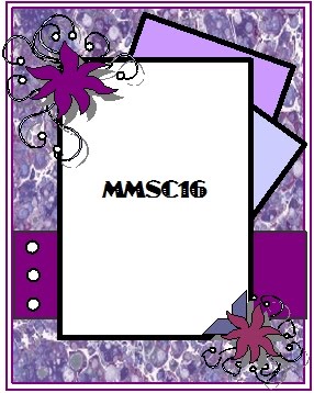 [MMSC16.jpg]