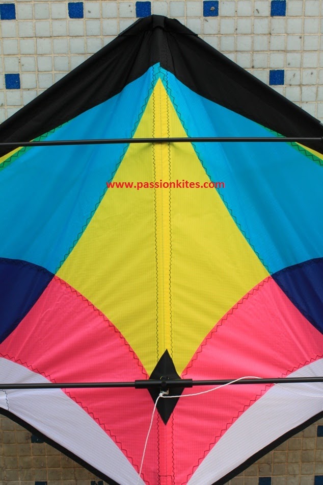 Buy Kites in Singapore Kites Stunt