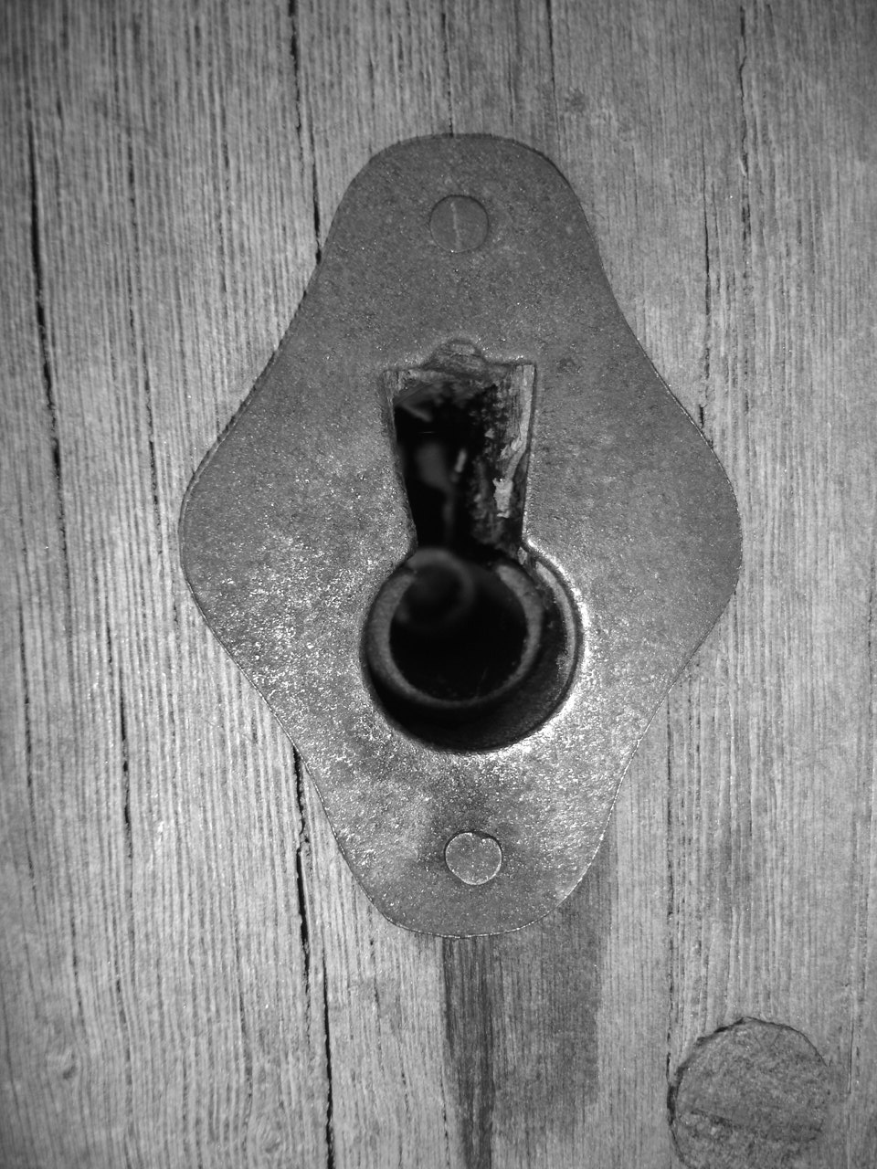 [abril_maio08+039.JPG]