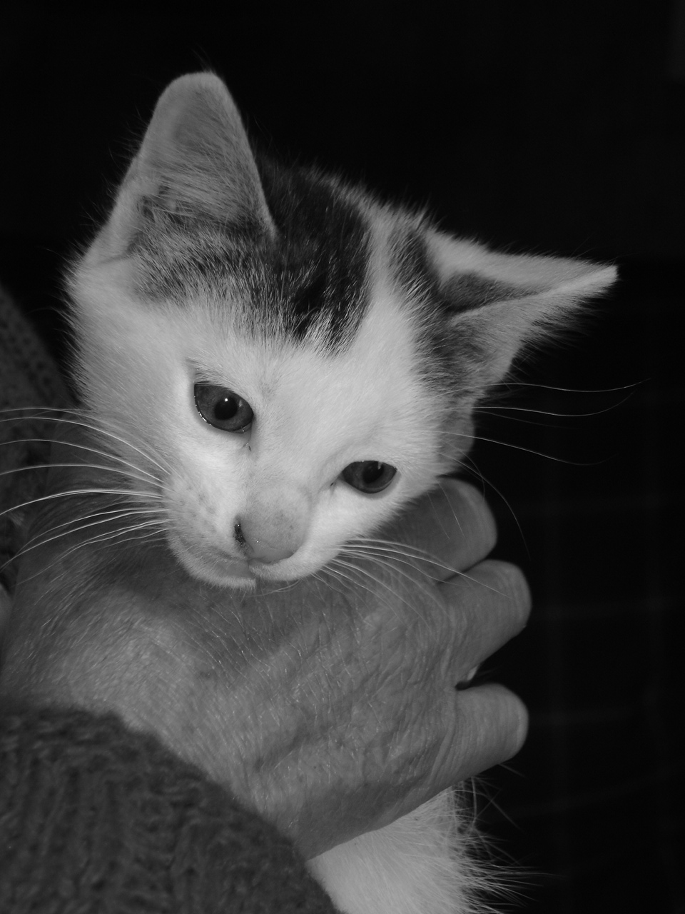 [abril_maio08+034.JPG]