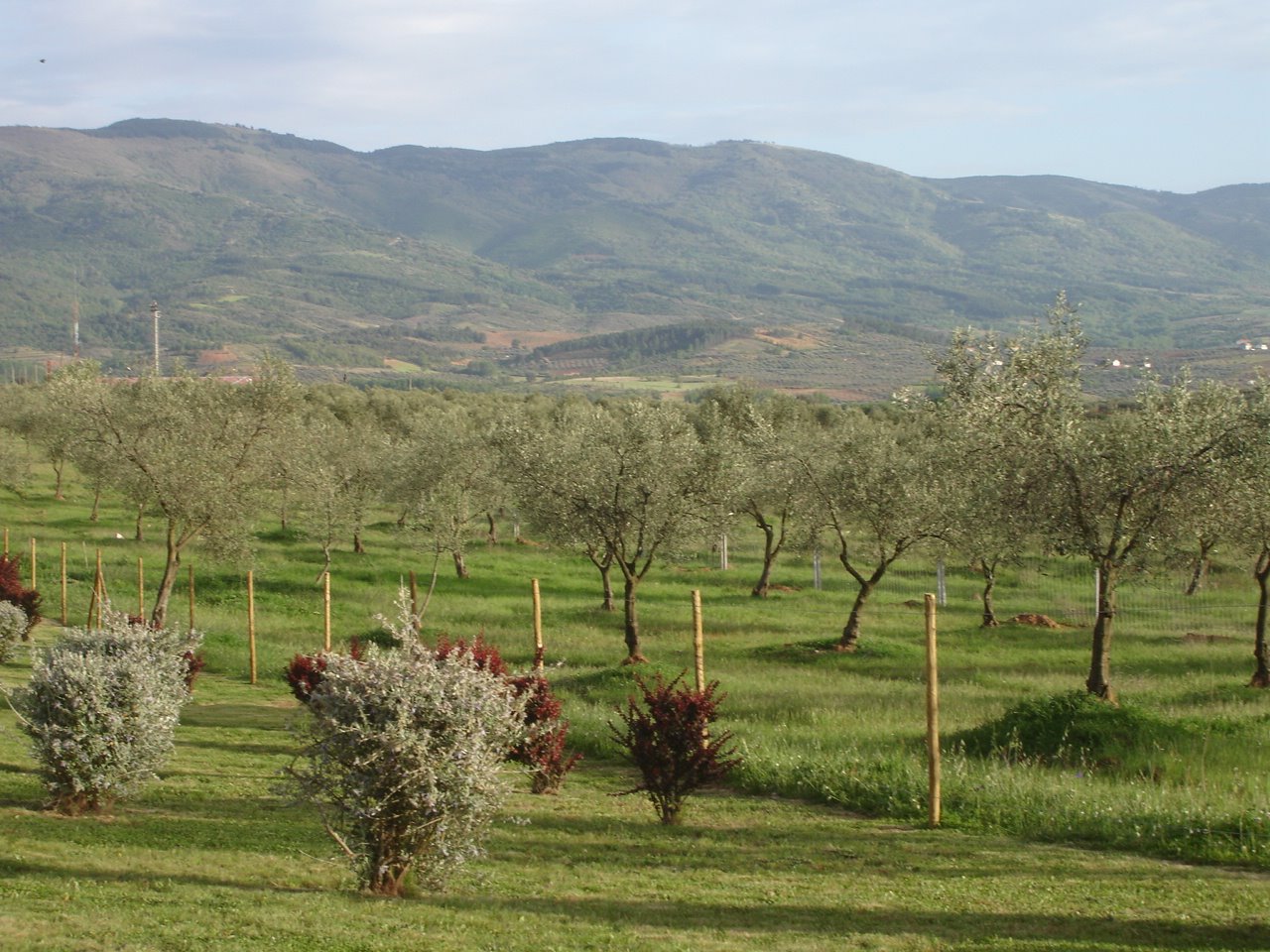 [abril_maio08+001.JPG]