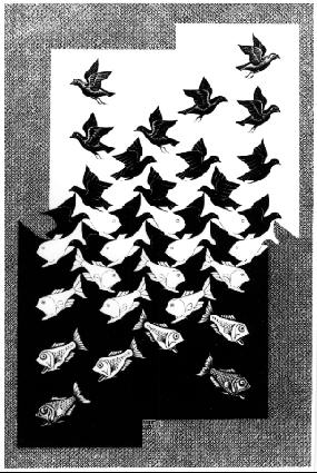 [escher1.jpg]