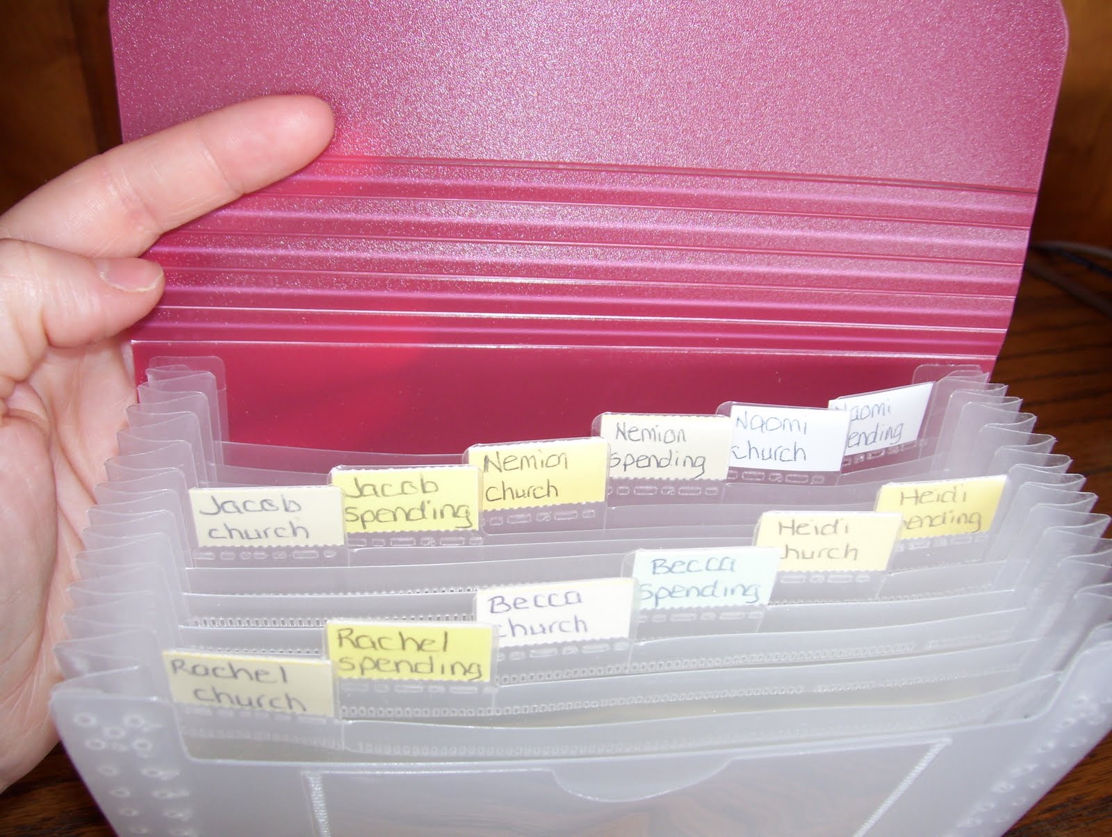 Simply Life Coupon organizer or Money organizer?