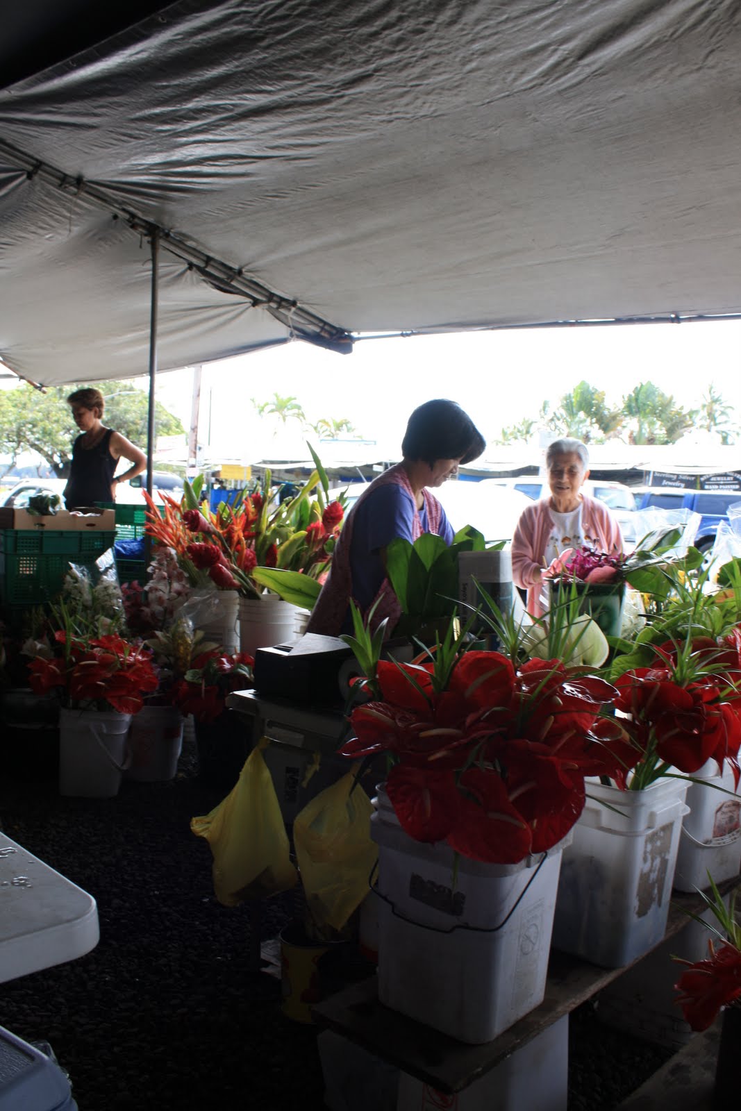 Quarterlife Adventures Hilo Farmers Market Hilo, Hawaii