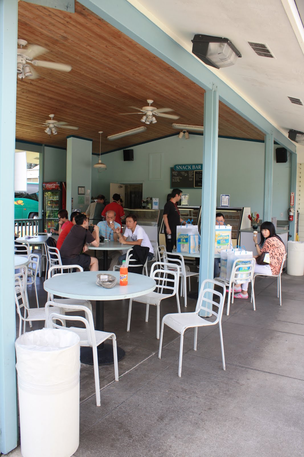 Quarterlife Adventures Mauna Loa Macadamia Nut Farm Hilo, Hawaii