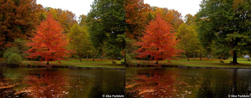 [071022-Bloomfield--Filley-Pond--fall-foliage-X-C-BLOG.jpg]