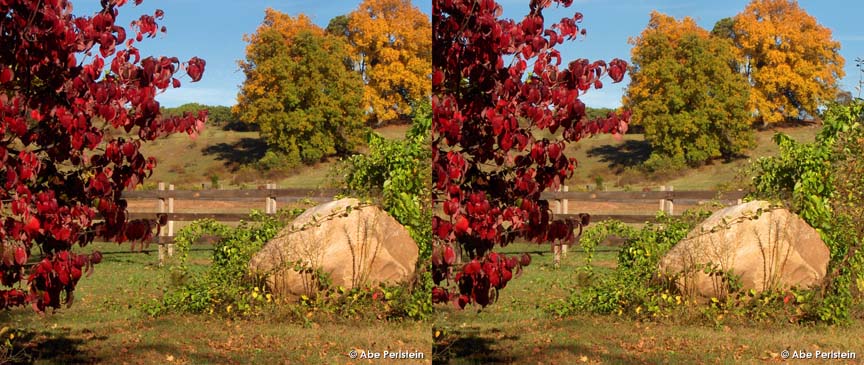 [071025-Bloomfield--Duncaster-Rd-fall-foliage-X-C-BLOG.jpg]