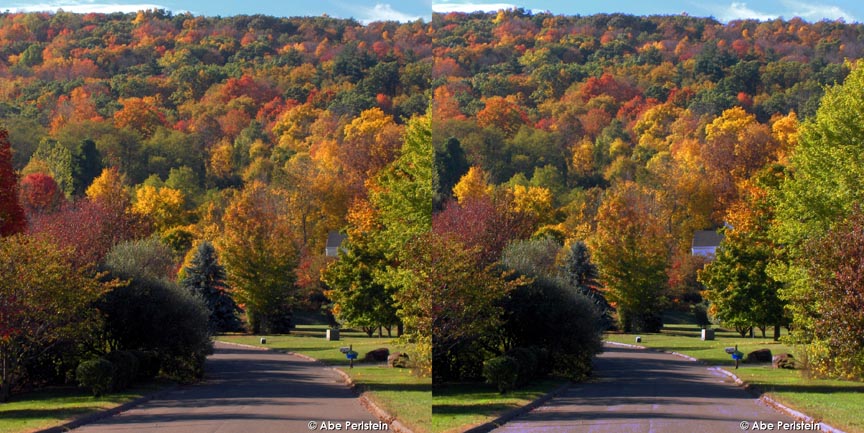 [071025-Bloomfield--Penwood-Park-fall-foliage-from+Duncaster-Rd-X-C-BLOG.jpg]