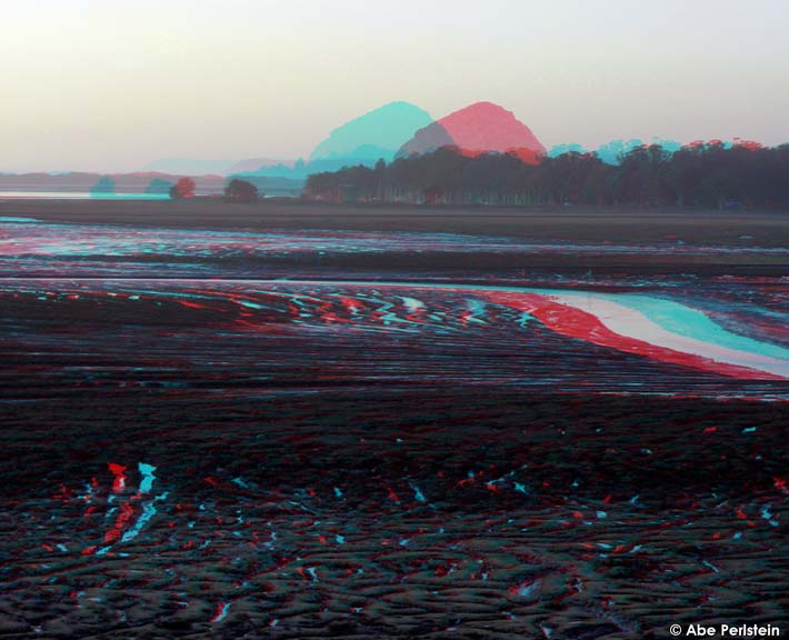 [080210-Elfin-Forest--Siennas-View-ANA-C-BLOG.jpg]