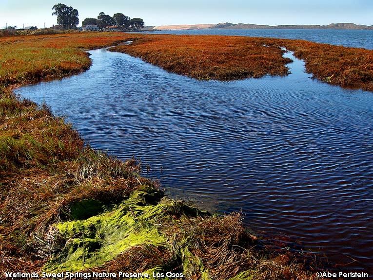 [061107-Sweet-Springs--wetlands-off-overlook-E-C.jpg]