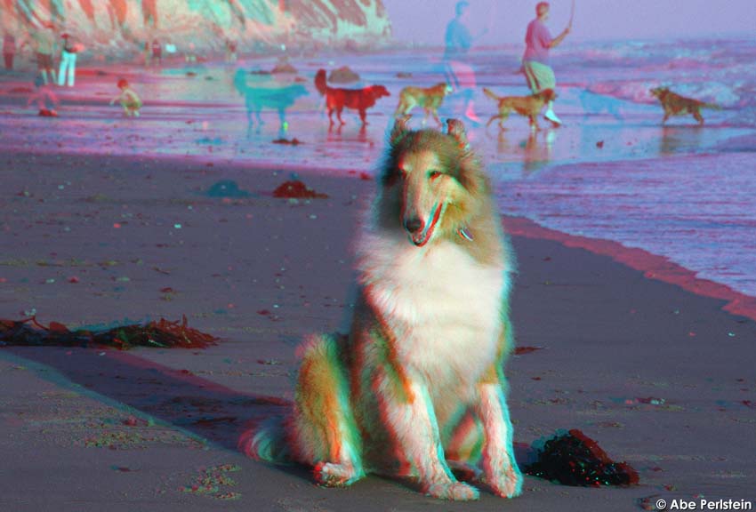 [070818-Santa-Barbara--Finn-17-ANA-C-BLOG--cAbePerlstein.jpg]