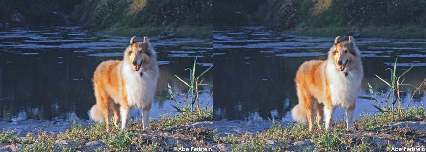 [070818-Santa-Barbara--Finn-01-X-C-BLOG--cAbePerlstein.jpg]