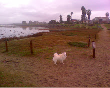 Siku in California, 2008