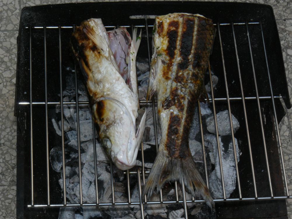 [P1030859p.jpg]