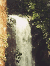 Dhuwili
