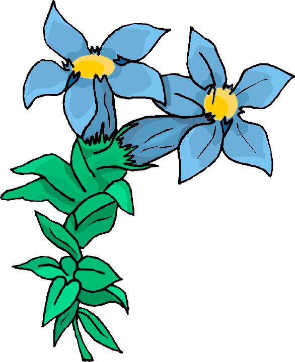 clipart easter flowers - photo #28