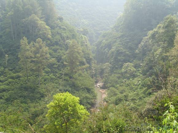 Hutan Raya Djuanda