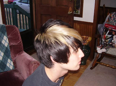 Emo boys hairstyle 2008