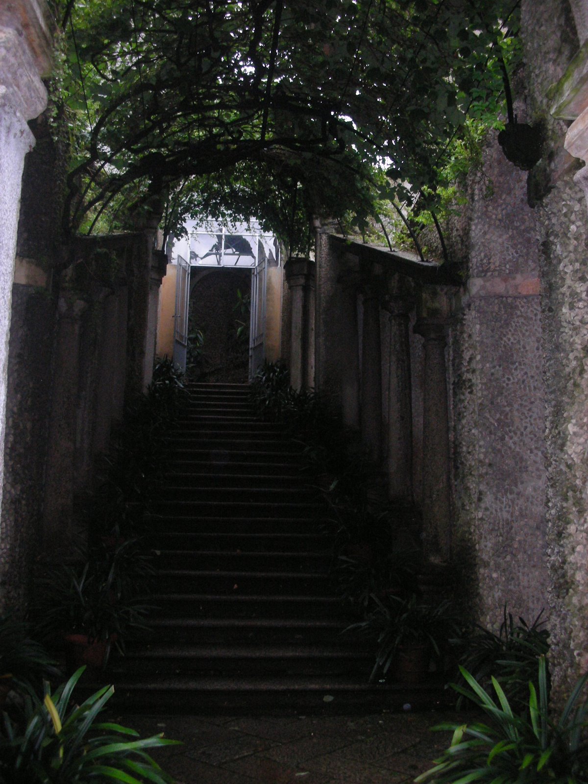 [secret+garden.JPG]