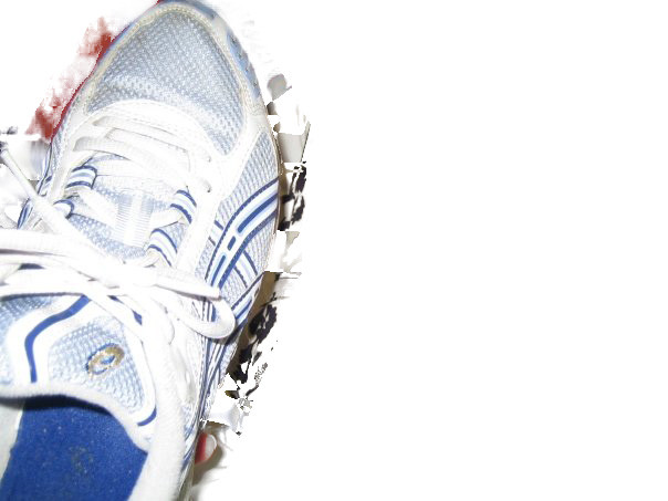 [running+shoe.jpg]