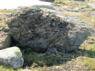 Dinosaur skalle ved Blåsjø