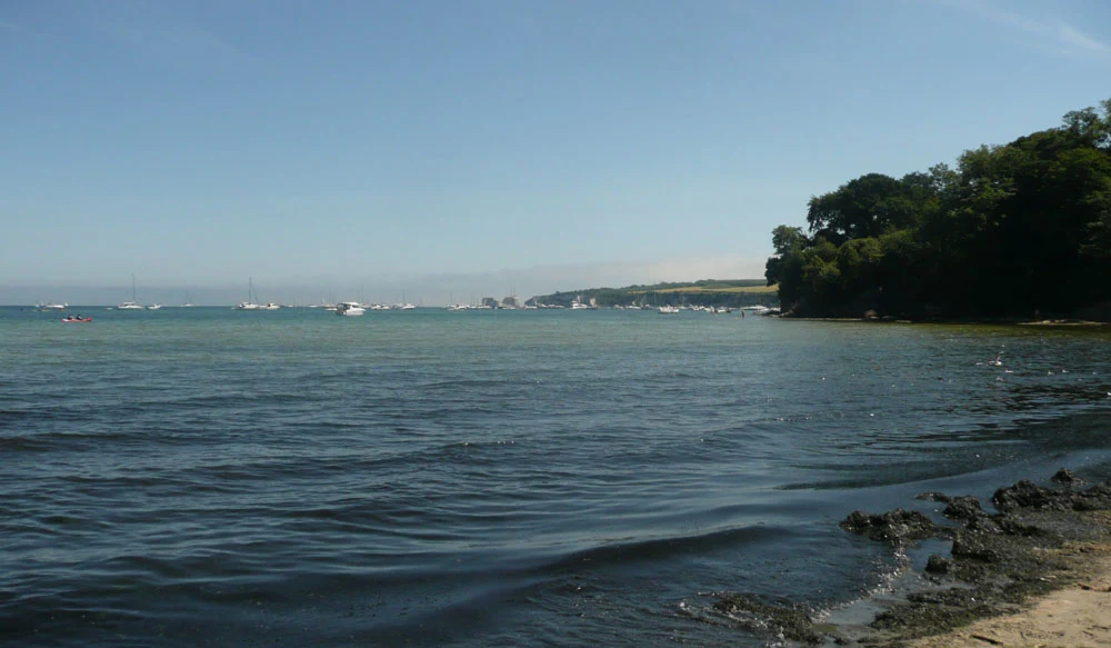 Studland Bay