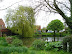 Somerleyton pond