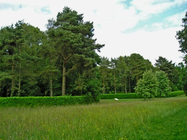 Whipsnade tree cathedral