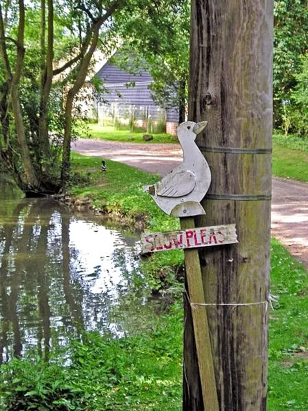 an interesting sign at the duck pond in Chrishall