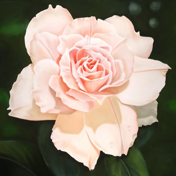 Roses Are Red And My Love For U Is 4ever