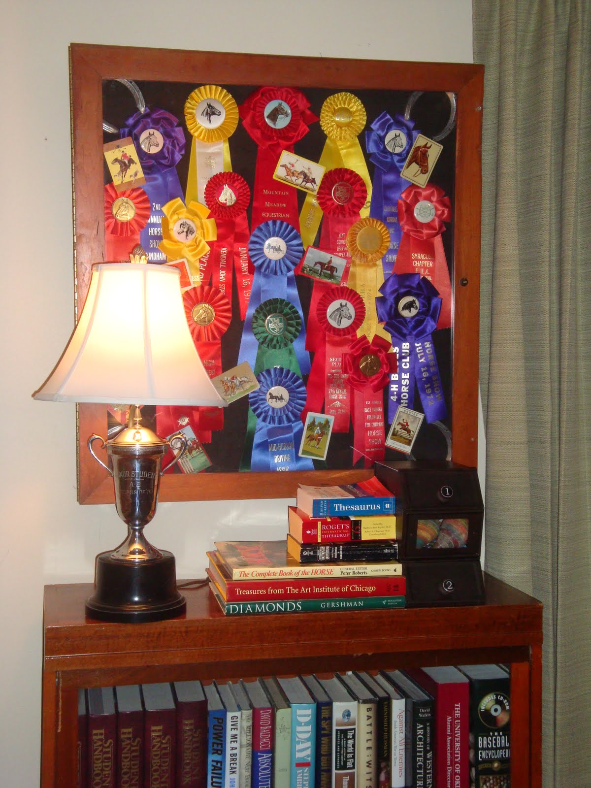 blue cardinal: Decorating with Horse Show Ribbons